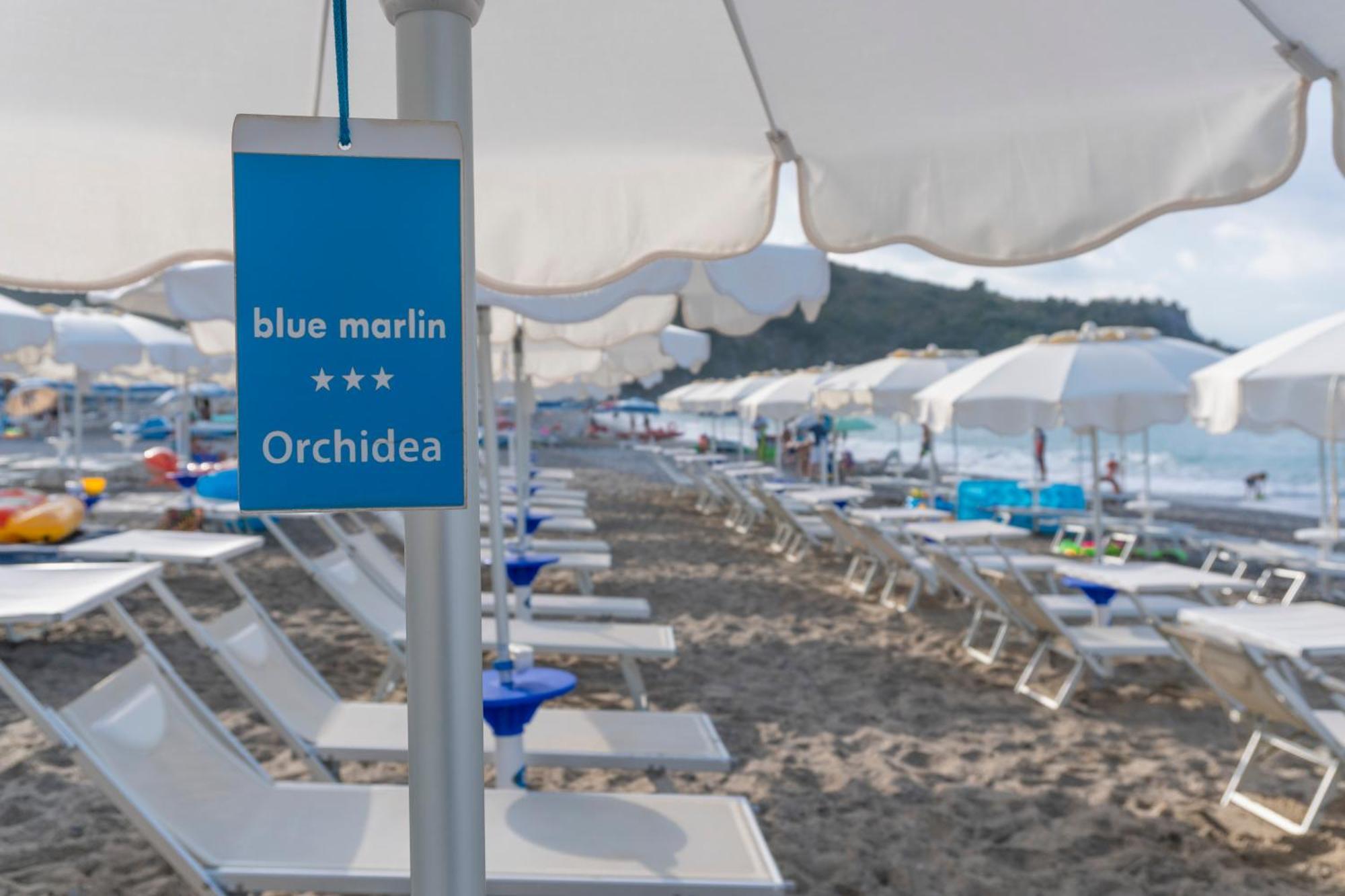 Blue Marlin Daire Marina di Camerota Dış mekan fotoğraf