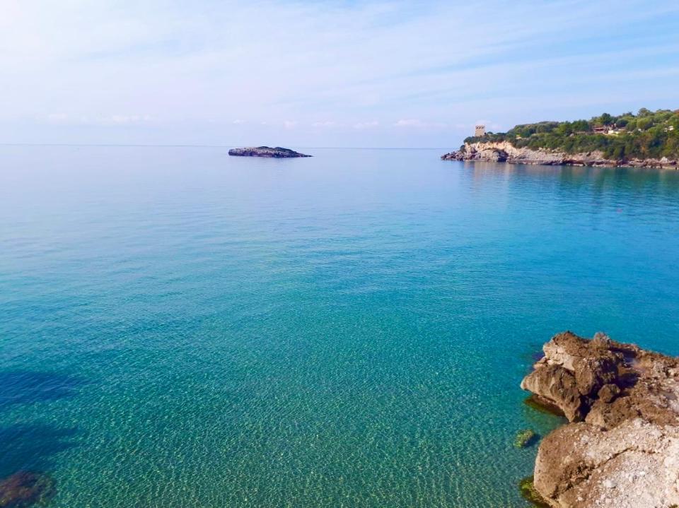 Blue Marlin Daire Marina di Camerota Dış mekan fotoğraf