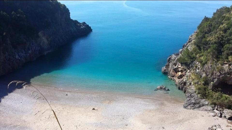 Blue Marlin Daire Marina di Camerota Dış mekan fotoğraf