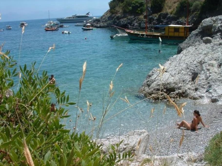 Blue Marlin Daire Marina di Camerota Dış mekan fotoğraf